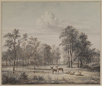 Y 074
          <br/>
          Hertenkamp
          <br/>
          <em>Os, Pieter Gerardus van (1776-1839)</em>